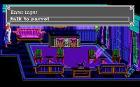 La interfaz: hablando con... un loro?