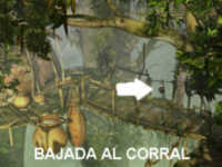 Paradise Paradise