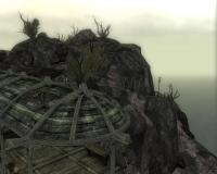 Dead Reefs